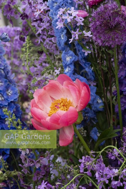 A garden created by florists using popular cut flowers such a peony. 
