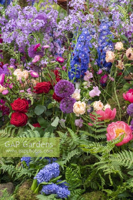 A garden created by florists using popular cut flowers such as purple alliums, roses and delphiniums.