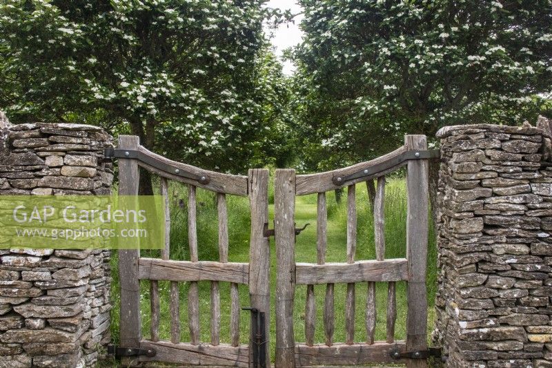 Rustic wooden gates set into a Cotswold stone drystone wall lead into an avenue of Crataegus lavalleei and a mown path through a wildflower and perennial meadow.