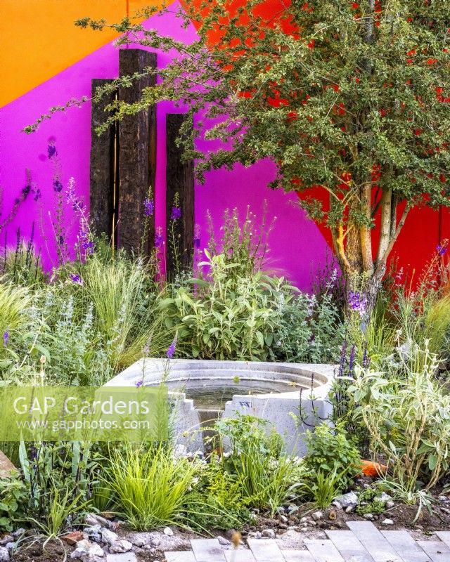 A white square water bowl surrounded by perennial planting in front of a colourful wall. RHS Chelsea Repurposed, Feature Garden 2024, Designers: Darryl Moore and Toby Magee