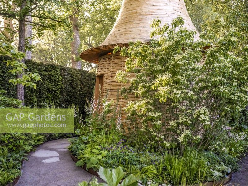 A path surrounds a round wooden hut structure with perennial borders, plants include: Cornus kousa and Digitalis. St James's Piccadilly: Imagine the World to be Different Garden, Designer: Robert Myers, Gold medal, RHS Chelsea Flower Show 2024, Sponsor: Project Giving Back
