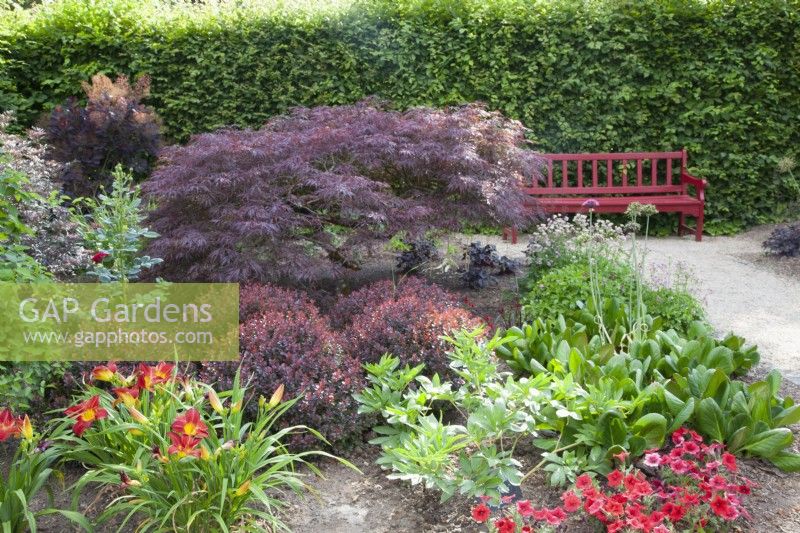 Bench Seat in Red Garden with Acer palmatum Dissectum Garnet and Berberis thunbergii Atropurpurea Nana