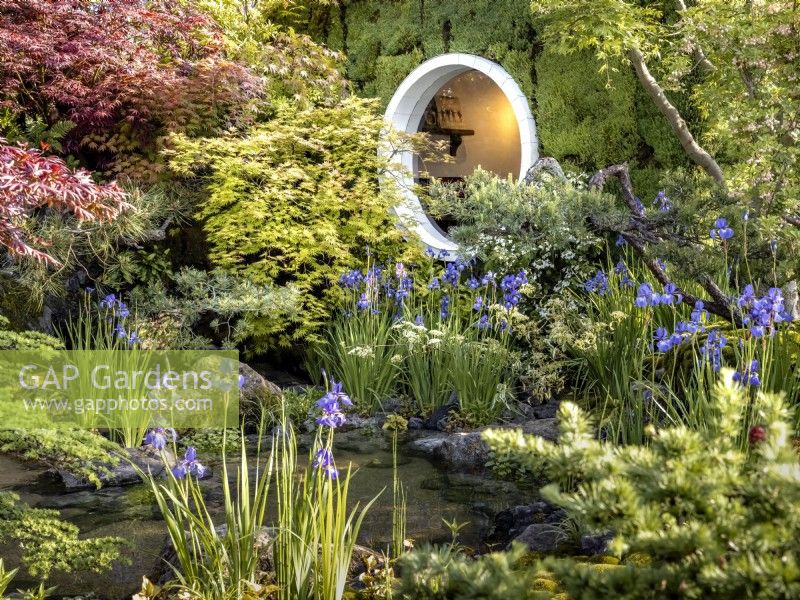 Japanese garden with rock pool lined with trees, Iris sibirica 'Tropic Night' and mosses. Behind, a viewing window. MOROTO no IE, Designer: Kazuyuki Ishihara, Silver-gilt medal, RHS Chelsea Flower Show 2024, Sponsor: G-Lion Group
