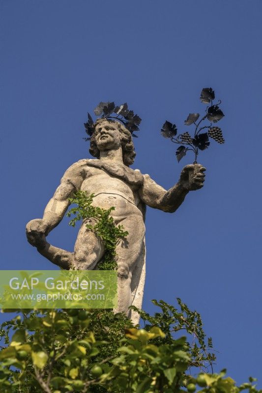 A weathered statue of a Dionysus classical figure holding a bunch of grapes in Garden of Love - Giardino d'Amore on the southern part of the Italian-style formal baroque Garden Isola Bella.