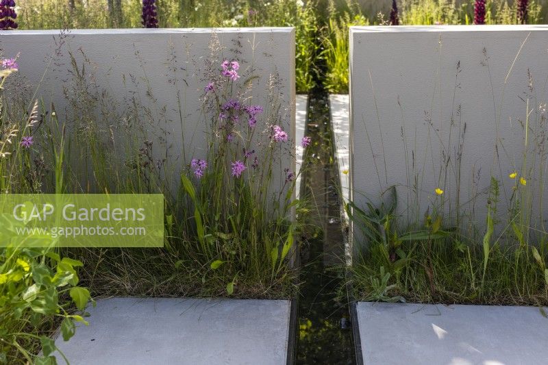 A linear water rill runs between the concrete walls and slabs. The planting includes meadow grass with wildflowers such as Silene flos-cuculi. Designer: Alan Rudden