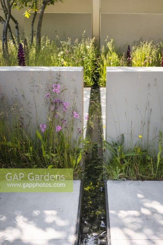 A linear water rill runs between the concrete walls and slabs. The planting includes meadow grass with wildflowers such as Silene flos-cuculi. Designer: Alan Rudden