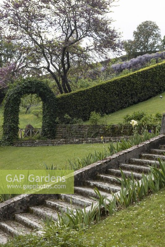 A view across the Baroque staircase with clipped hedge and arch in the background. Irises line either side of the staircase. Bardini Gardens, Florence. April, Spring. 