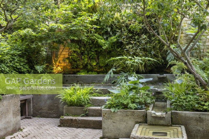 A courtyard garden with hypertufa cold plunge pool and rill. Shade-loving planting in containers including ferns and hakonechloa under canopy of Acer tataricum subsp. ginnala, Amur maple - 'The Ecotherapy Garden' - designer Tom Bannister - Best Balcony and Container Garden - RHS Chelsea Flower Show 2024