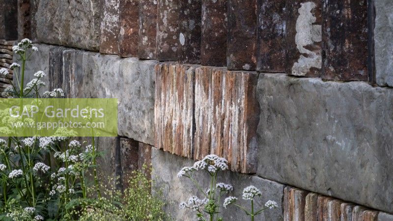 Valeriana officinalis  with Briza media growing by  a brick, slate and tile wall in the Muscular Dystrophy UK - Forest Bathing Garden - Designer: Ula Maria Sponsor: Project Giving Back
