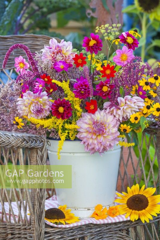 Bouquet of summer flowers including dahlia, cosmos, rudbeckia and amaranthus in enamel bucket