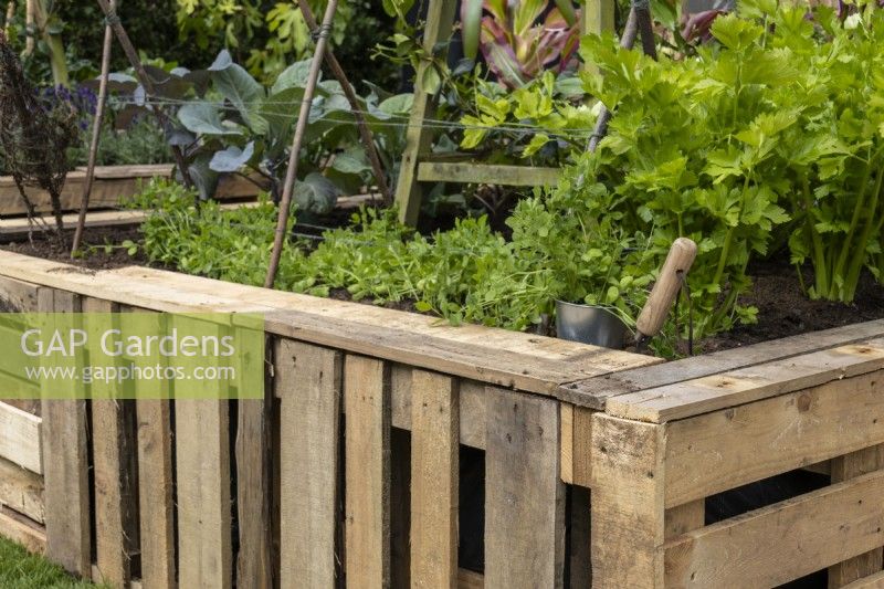 A raised bed made from recycled wooden pallets and planted with vegetables - The Viewer's Garden - designer Pip Probert - BBC Gardeners' World Live 2024