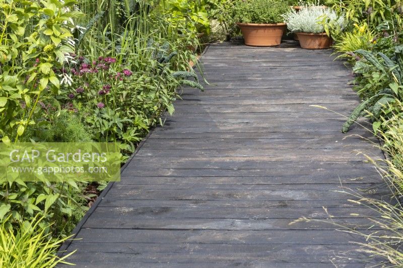 A black wooden boardwalk path runs past a border of perennials - The Chef's Table - designer Adam Frost - BBC Gardeners' World Live 2024