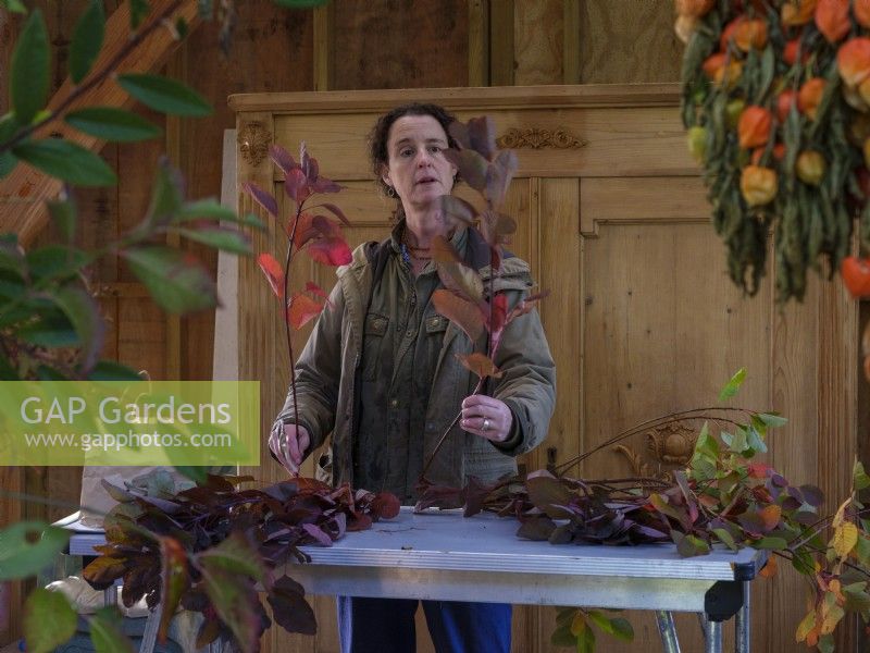 Interior barn workshop. Specialist foliage florist, Zanna Hoskins works with Autumn fruits and leaves gathered from her garden for use in seasonal arrangements. November, Autumn, Dorset, UK.