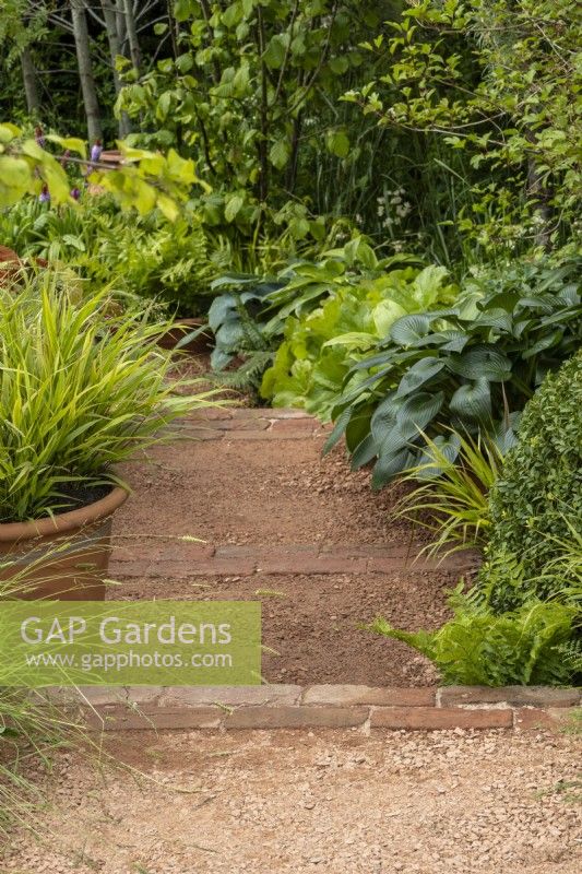 Brick-edged rammed earth steps run past hostas and grasses - The Chef's Table - designer Adam Frost - BBC Gardeners' World Live 2024