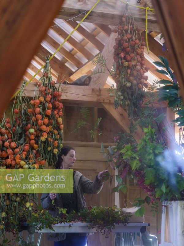 Interior barn workshop where specialist specialist foliage florist, Zanna Hoskins seen here reflected in a mirror,  works with Autumn fruits and leaves gathered from her garden for use in seasonal arrangements. November, Autumn, Dorset, UK.