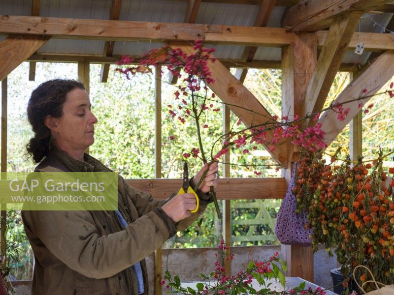 Interior of her workshop studio interior where specialist foliage florist, Zanna Hoskins assembles Autumn fruits and foliage for a seasonal arrangement. November, Autumn, Dorset, UK.