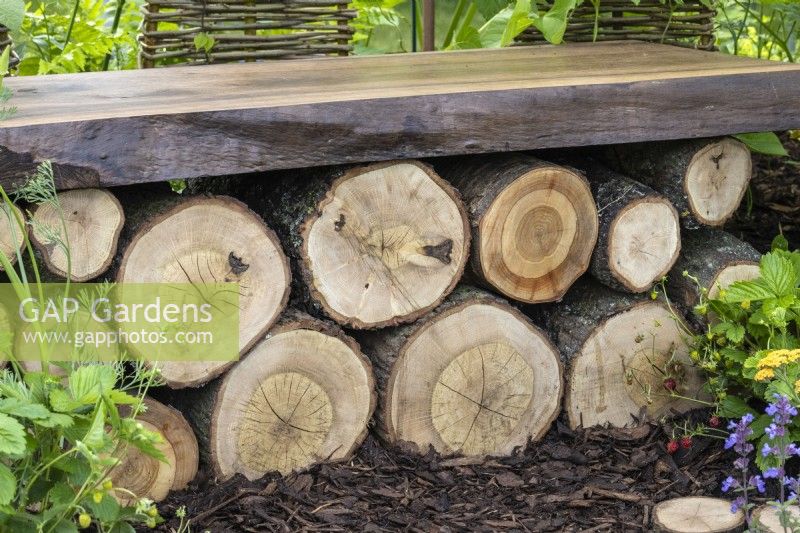 A bench made from a plank and old logs is also a wildlife habitat