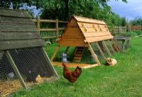 Hen house at Pannells Ash Farm in Essex