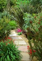 Path of stepping stones in gravel, urban tropical garden