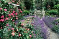 Inverewe garden with rose borders, path and steps