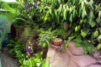 Small town garden, side passage with foliage plants including tree fern and variegated Ivy 