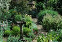 Path through cottage garden at East Lambrook Manor in East Petherton, Somerset