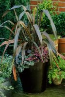 Winter container with Phormium tenax 'Purpurea', Erica darlyensis 'Kramer's Rote' and Heuchera 'Plum Pudding' 