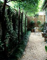 Suburban small courtyard garden by side of house, bed planted with Liriope - Mondo and Trachelospermum - Star Jasmine on trellis