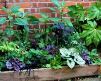 Shady foliage border with timber edging