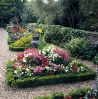 Box edged beds with annual planting at Myddelton House gardens in London