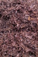 Composted organic stable manure 