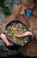 Woman holding bucket of woody compost shreddings