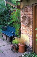 Rustic small garden scene with seat and pots of Ajuga, Thymus, Ornamental Grass. Parthenocissus tricuspidata growing around the bench.