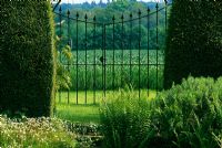 Taxus baccata hedge with iron gates