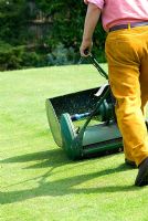 Man mowing the lawn with a petrol cylinder mower