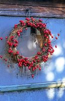 Round wicker wreath with rose hips hanging from frosted shed window 