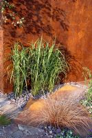Dry garden with Miscanthus sinensis 'Zebrinus' and Carex flagellifera with gravel and rusted steel stepping plates and structure. The 'New Eden' conceptual garden 