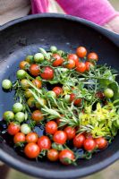Tomatoes with herbs in pan
