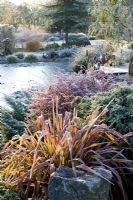 Looking over the frozen pond in John Massey's garden on a frosty winter's morning. Phormium 'Jester' in the foreground. 