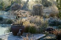 Container of Prunus incisa 'Kojo-no-mai' on a frosty winter's morning. Ornamental wooden ducks on the deck. 