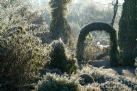 Ivy arch on a frosty winter's morning. 