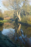 Reflections in the water of the Staffordshire and Worcester canal on a frosty morning in winter.