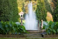 The Fountain of the Cherubs with Colacasia antiquorum at Villa Taranto, Pallanza, Lake Maggiore, Italy