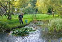 Boy fishing for pond life with fishing net in wildlife pond in garden