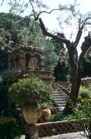 Olive tree and  Pittosporum in large terracotta urn infront one of the pavilions in the public garden created and built by English woman Florence Trevelyn at end of 19th century, Parco Duca di Cesaro, Trevelyan Gardens, Taormina, Sicily