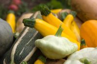 'Patty Pan' and 'Custard White' Squashes and Marrows in October