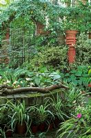 Front garden with trompe l'oeil gate and mirror behind raised bed with Acer, Begonia Chlorophytum and Coleus in pots chimney pot 