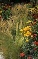 'Love life and Regeneration' Garden at Hampton Court Flower Show 2006 with synthetic flooring, Stipa tenuissima, Achillea allium 'Sphaerocephalon' and Helenium
 
