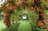 The vine tunnel in the Edwardian Garden at Powis Castle