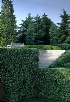 Views of conifers, steps and hedging in Spanish garden Madrid, Spain